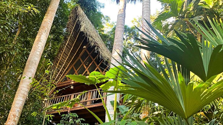 Puqio Ecolodge 타라포토 외부 사진
