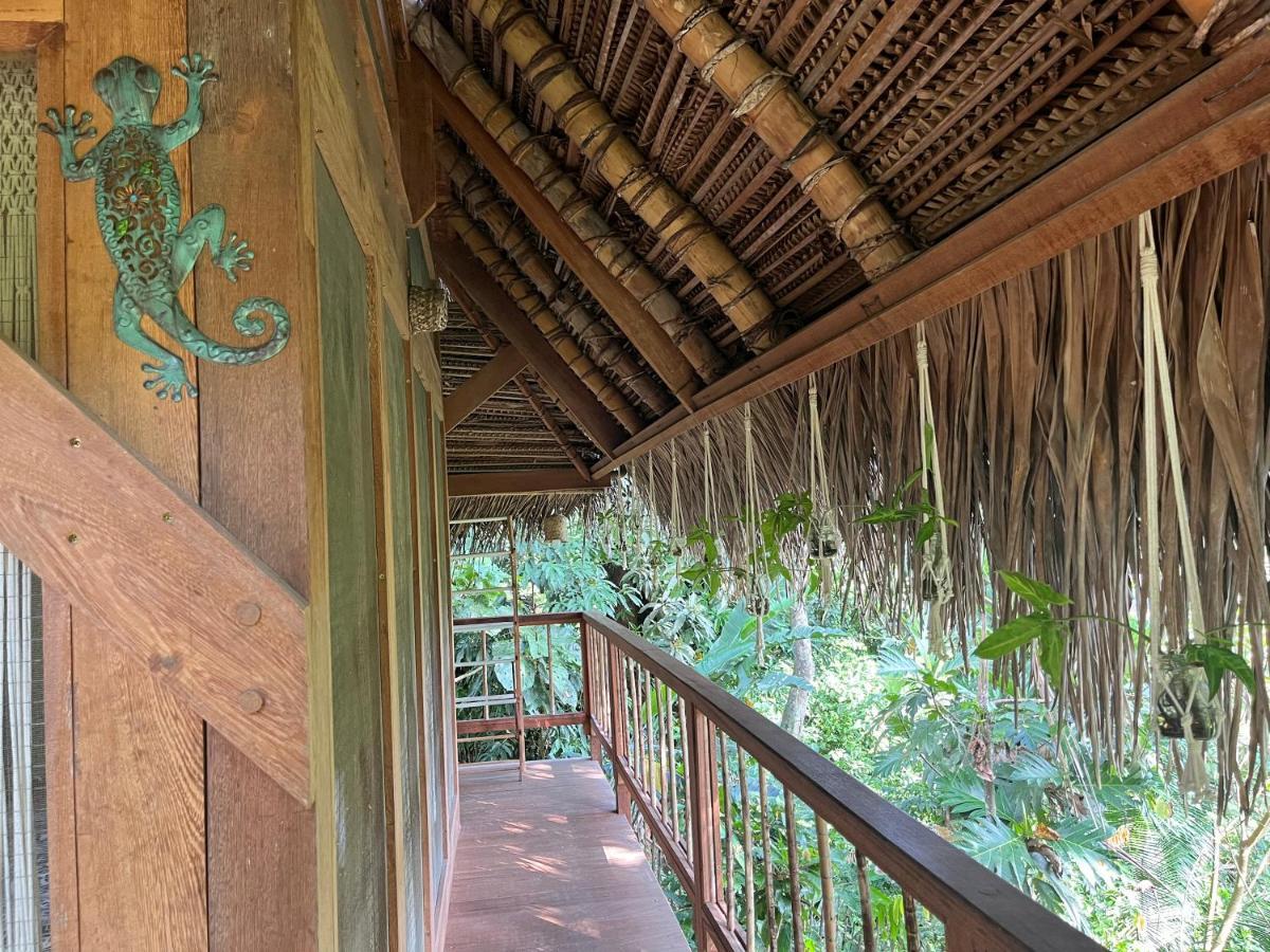 Puqio Ecolodge 타라포토 외부 사진